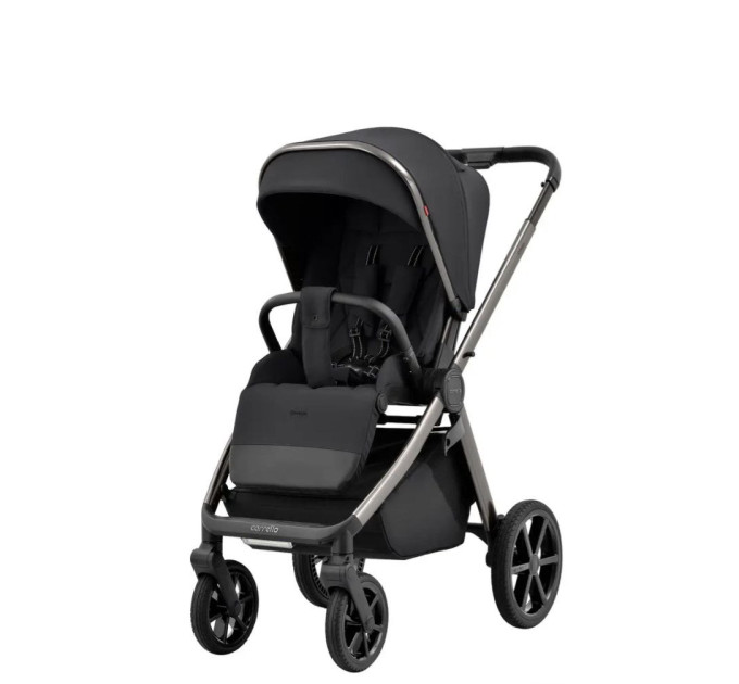  Дитяча коляска 2в1  Carrello Omega Absolut Black