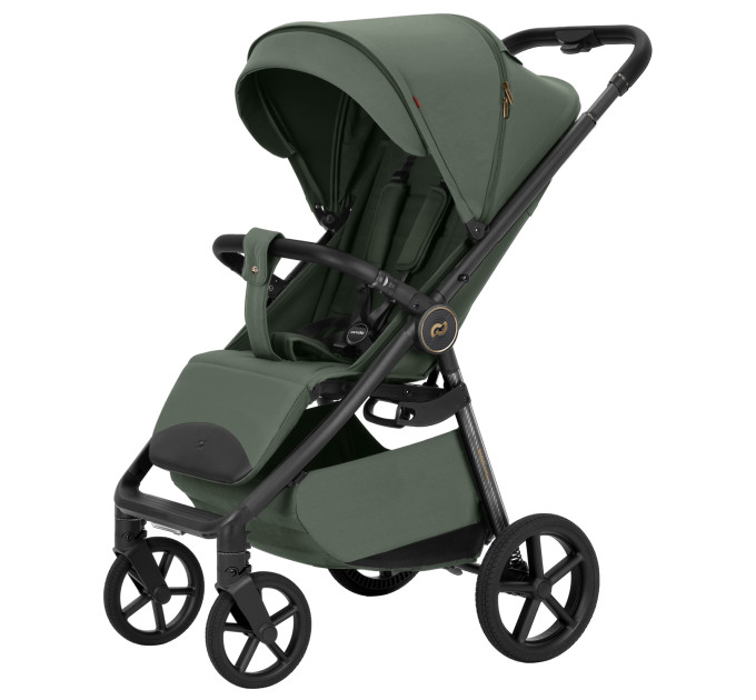Прогулянкова коляска CARRELLO Bravo Carbon CRL-5530 Tropic Green /1/
