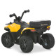 Квадроцикл M 6286EBLR-6