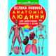 Книга "Велика книжка. Анатомія людини" (укр)