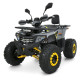 Квадроцикл HB-FC1450-11-6