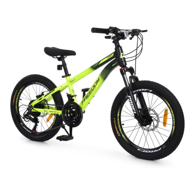 Велосипед PROFI FREEDOM 20 д. FD-2001