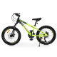 Велосипед PROFI FREEDOM 20 д. FD-2001