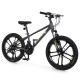 Велосипед PROFI EMOTION 20 д. ET-2003