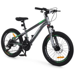 Велосипед PROFI FREEDOM 20 д. FD-2002