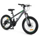 Велосипед PROFI FREEDOM 20 д. FD-2002